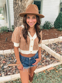 Camel Gingham Sweater Short Sleeve Top