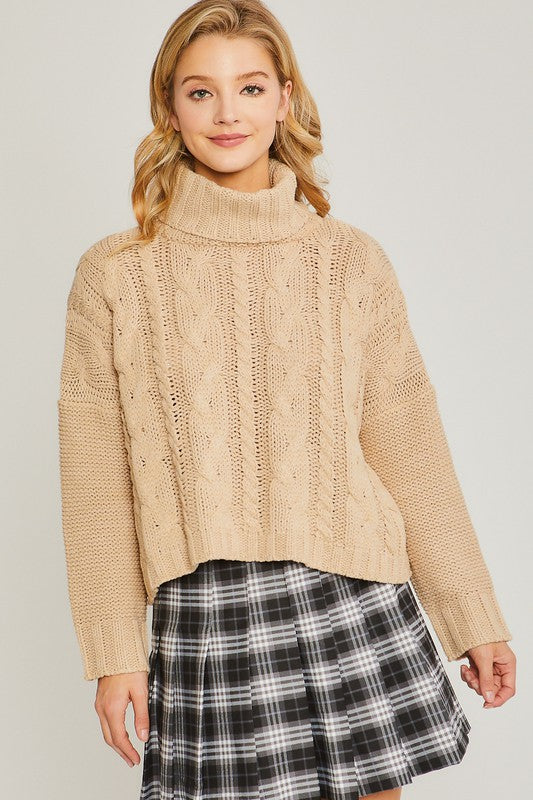 Turtle Neck Cable Knit Sweater