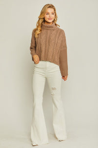 Turtle Neck Cable Knit Sweater