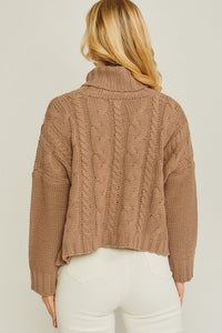 Turtle Neck Cable Knit Sweater