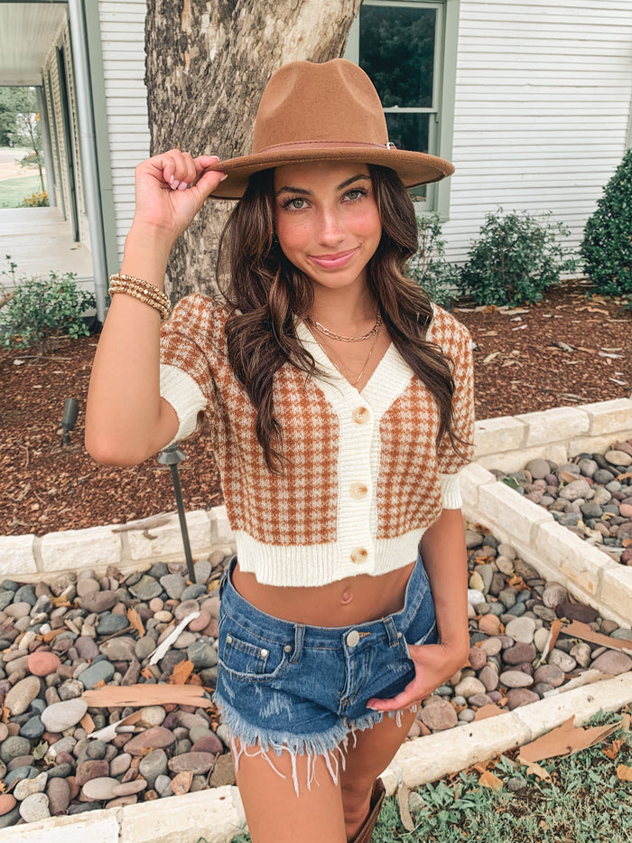 Camel Gingham Sweater Short Sleeve Top