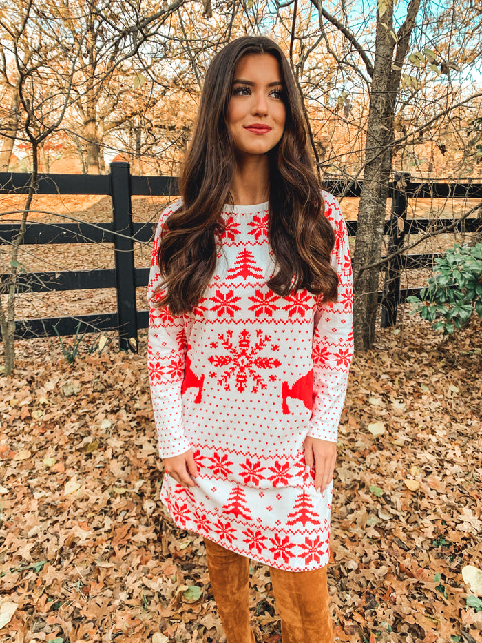 Christmas Bliss Long Sleeve Dress