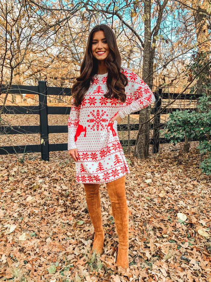 Christmas Bliss Long Sleeve Dress